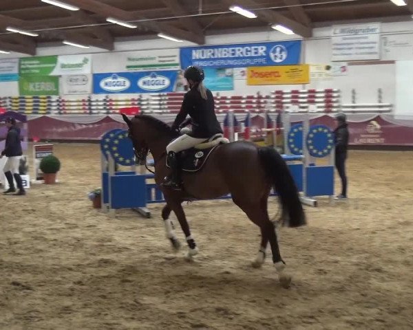 Springturnier Eicherloh - Laurent 2016