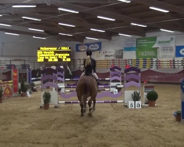 Springturnier Eicherloh - Laurent 2016
