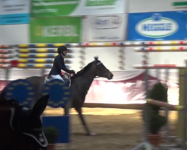 Springturnier Eicherloh - Laurent 2016