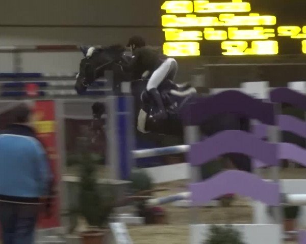 Springturnier Eicherloh - Laurent 2016