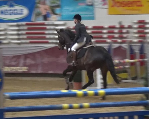 Springturnier Eicherloh - Laurent 2016