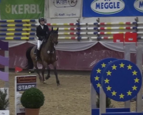 Springturnier Eicherloh - Laurent 2016