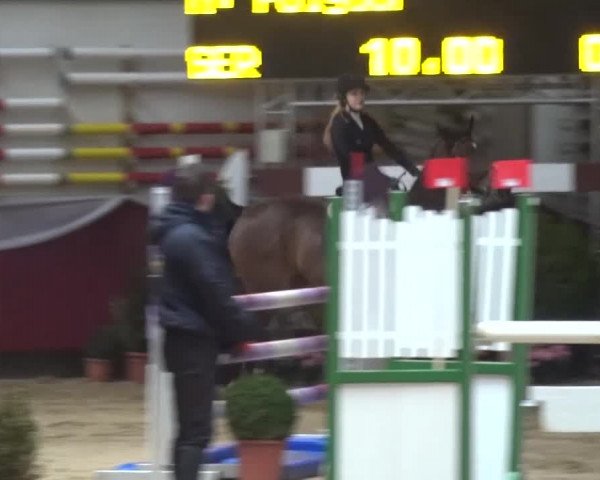 Springturnier Eicherloh - Laurent 2016