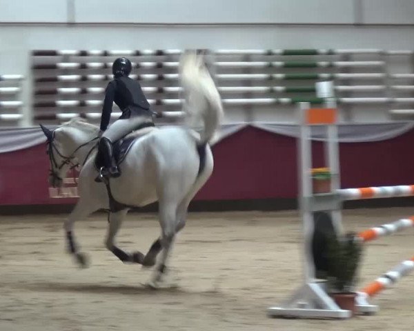 Springturnier Eicherloh - Laurent 2016