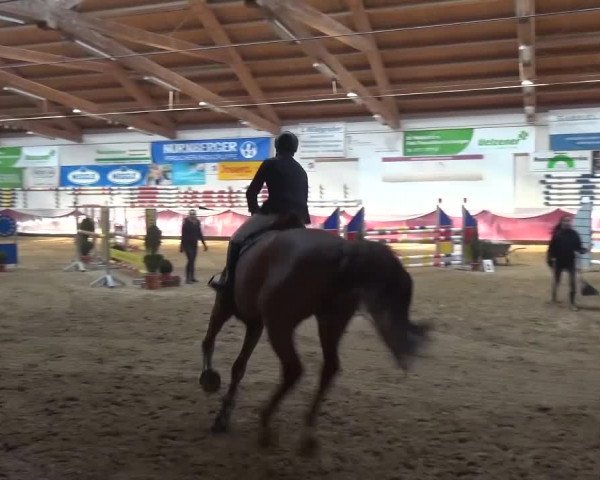 Springturnier Eicherloh - Laurent 2016