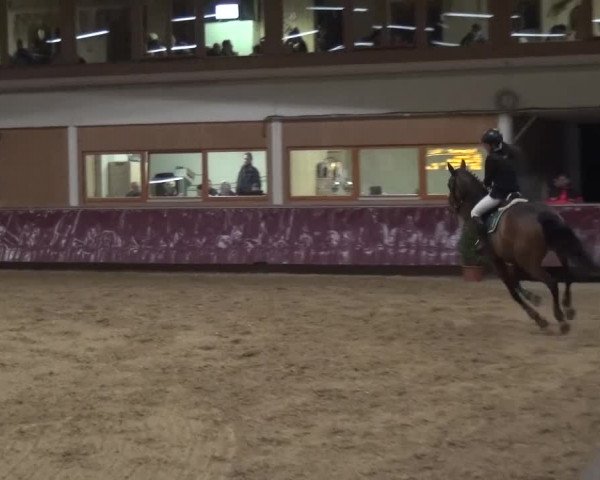 Springturnier Eicherloh - Laurent 2016