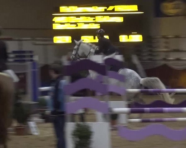 Springturnier Eicherloh - Laurent 2016