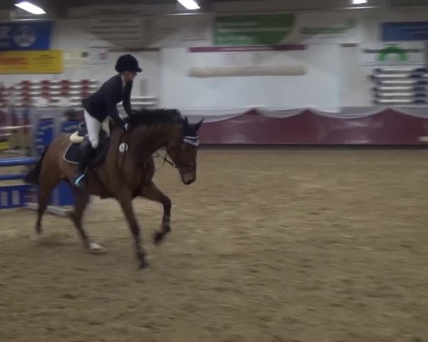 Springturnier Eicherloh - Laurent 2016