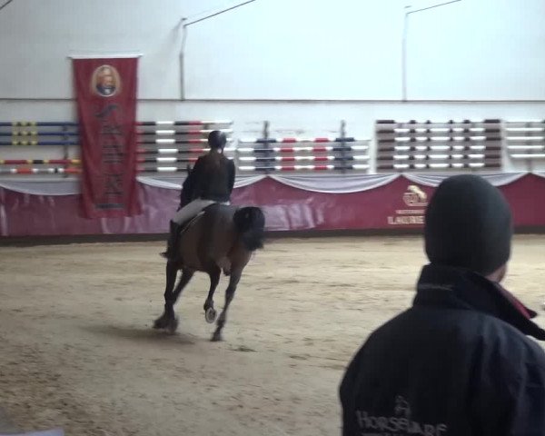 Springturnier Eicherloh - Laurent 2016