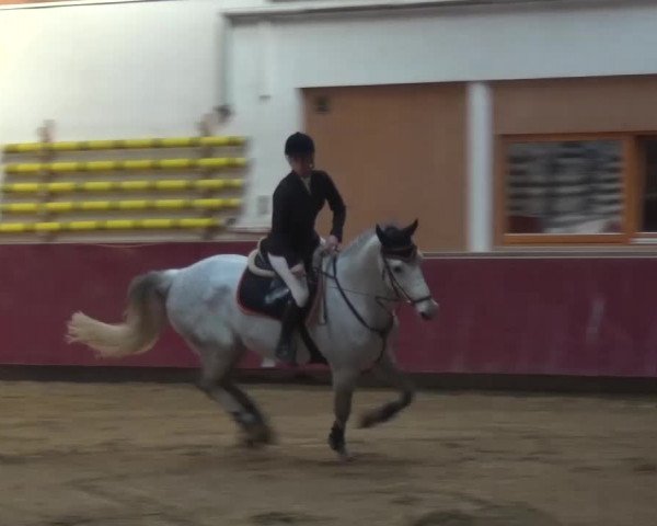 Springturnier Eicherloh - Laurent 2016