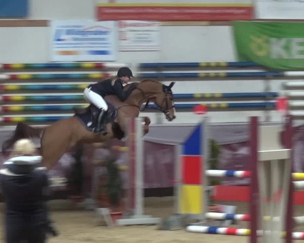 Springturnier Eicherloh - Laurent 2016