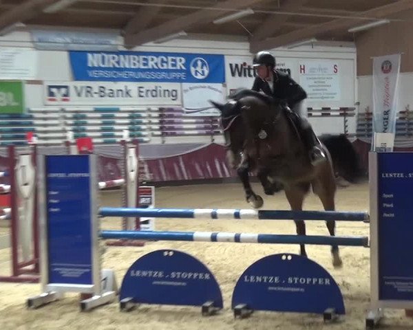 Springturnier Eicherloh - Laurent 2016