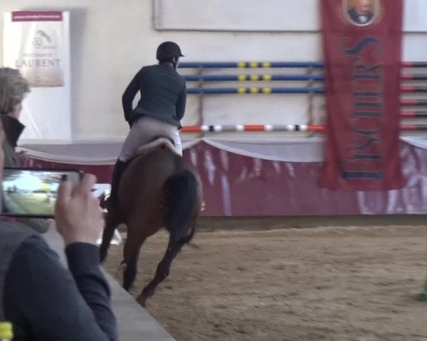 Springturnier Eicherloh - Laurent 2016