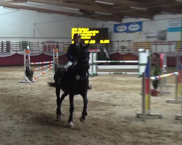 Springturnier Eicherloh - Laurent 2016