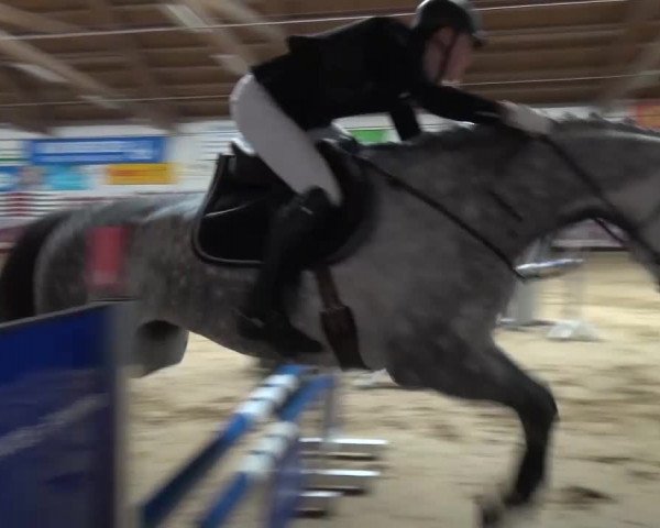 Springturnier Eicherloh - Laurent 2016