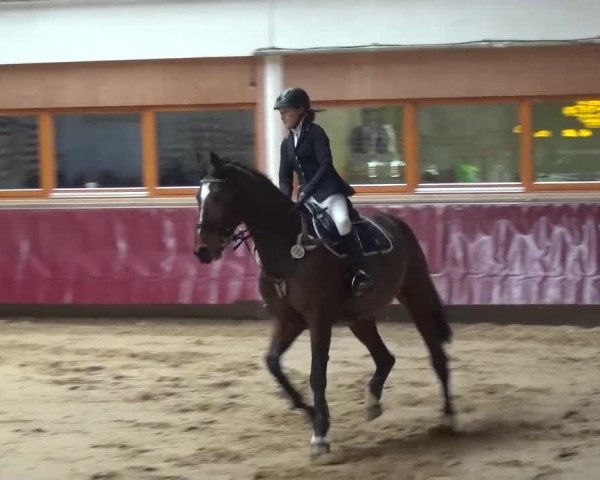Springturnier Eicherloh - Laurent 2016