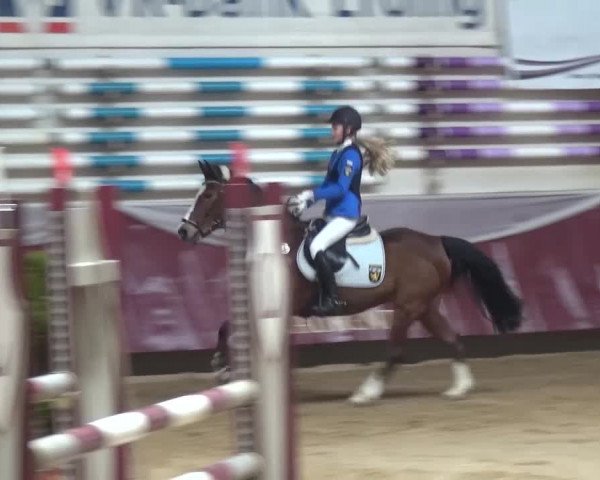 Springturnier Eicherloh - Laurent 2016