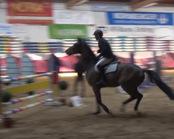 Springturnier Eicherloh - Laurent 2016