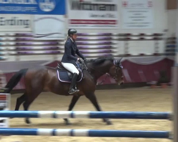 Springturnier Eicherloh - Laurent 2016