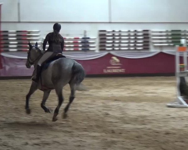 Springturnier Eicherloh - Laurent 2016