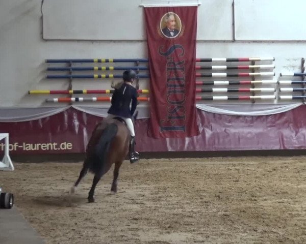 Springturnier Eicherloh - Laurent 2016