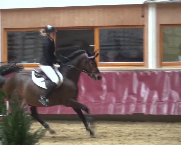 Springturnier Eicherloh - Laurent 2016