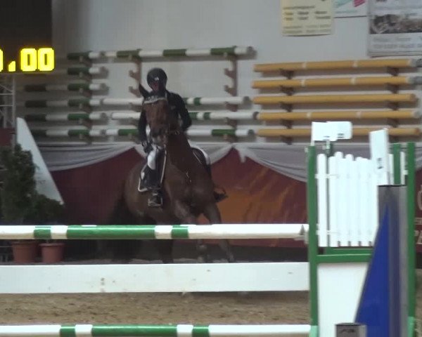 Springturnier Eicherloh - Laurent 2016