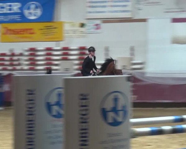 Springturnier Eicherloh - Laurent 2016