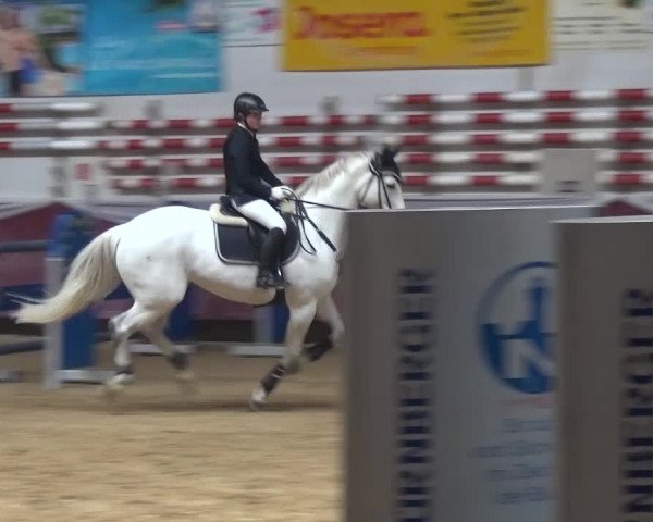 Springturnier Eicherloh - Laurent 2016
