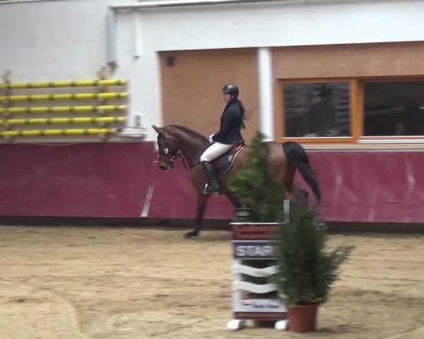 Springturnier Eicherloh - Laurent 2016