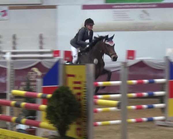 Springturnier Eicherloh - Laurent 2016
