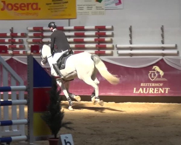 Springturnier Eicherloh - Laurent 2016