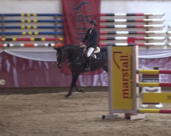 Springturnier Eicherloh - Laurent 2016