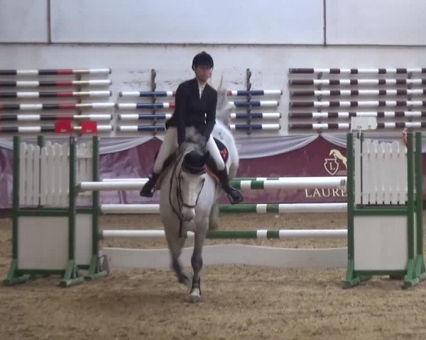 Springturnier Eicherloh - Laurent 2016