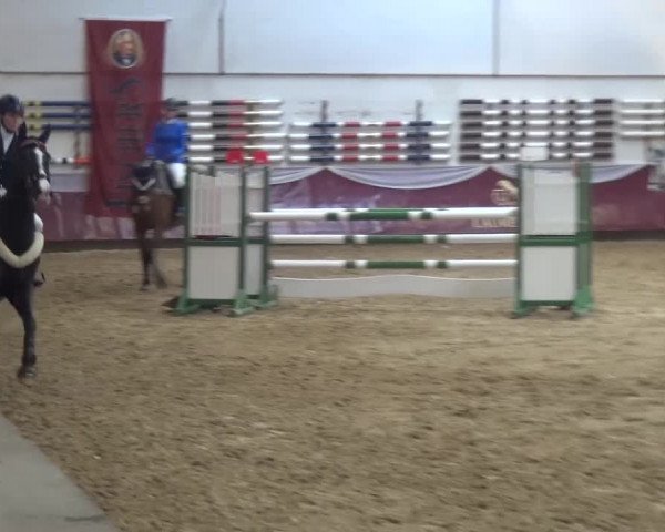 Springturnier Eicherloh - Laurent 2016