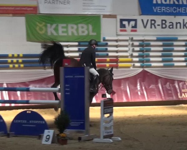 Springturnier Eicherloh - Laurent 2016