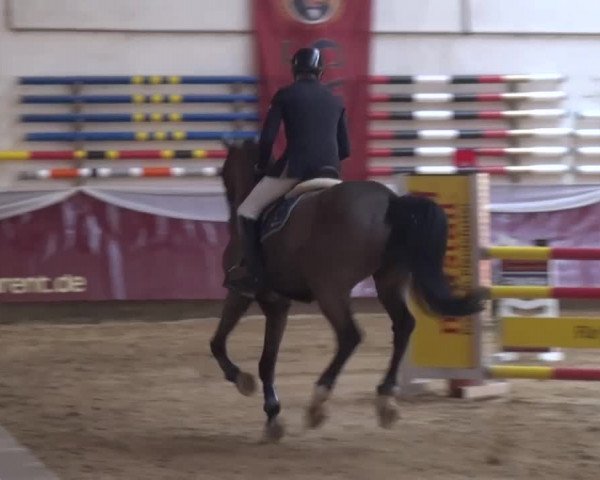 Springturnier Eicherloh - Laurent 2016