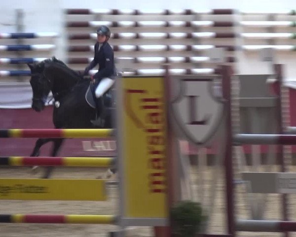 Springturnier Eicherloh - Laurent 2016