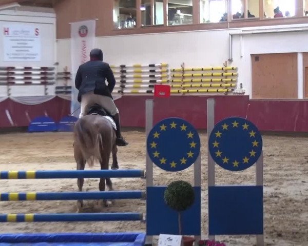 Springturnier Eicherloh - Laurent 2016