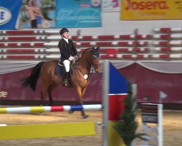 Springturnier Eicherloh - Laurent 2016