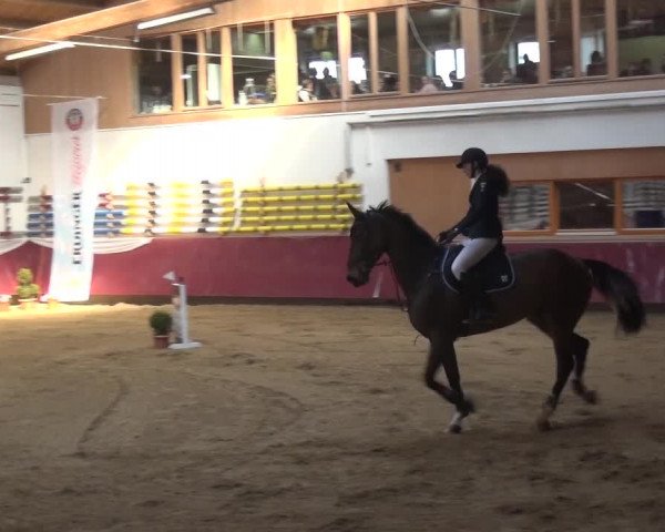 Springturnier Eicherloh - Laurent 2016