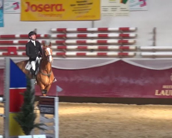Springturnier Eicherloh - Laurent 2016