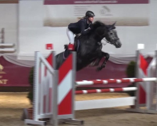 Springturnier Eicherloh - Laurent 2016