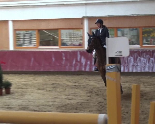 Springturnier Eicherloh - Laurent 2016