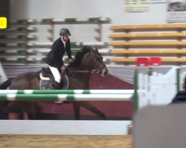 Springturnier Eicherloh - Laurent 2016