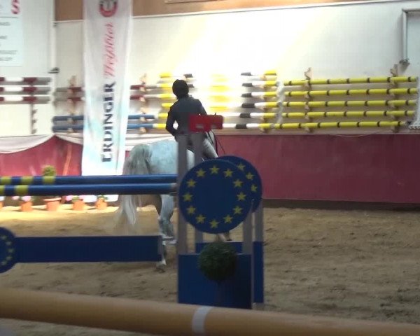 Springturnier Eicherloh - Laurent 2016