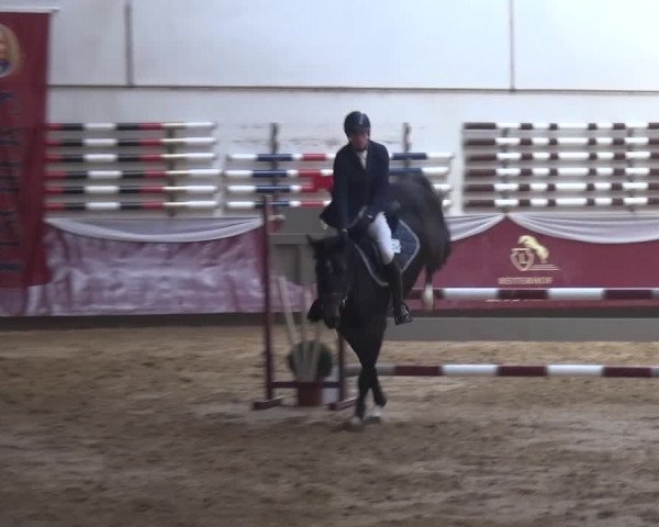Springturnier Eicherloh - Laurent 2016