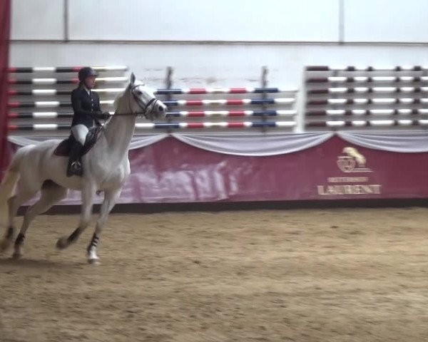 Springturnier Eicherloh - Laurent 2016