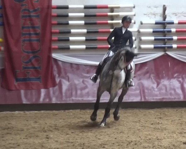 Springturnier Eicherloh - Laurent 2016