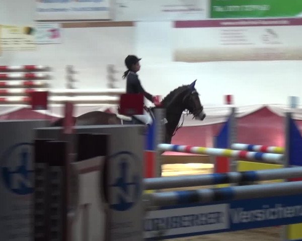 Springturnier Eicherloh - Laurent 2016